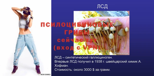 прущие грибы Алексин