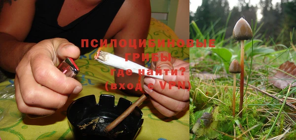 прущие грибы Алексин