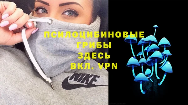 прущие грибы Алексин